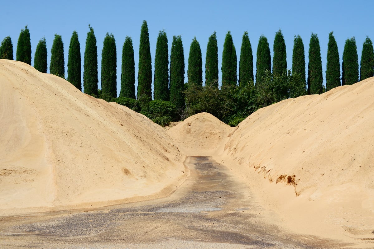 Saw dust