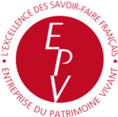 logo epv