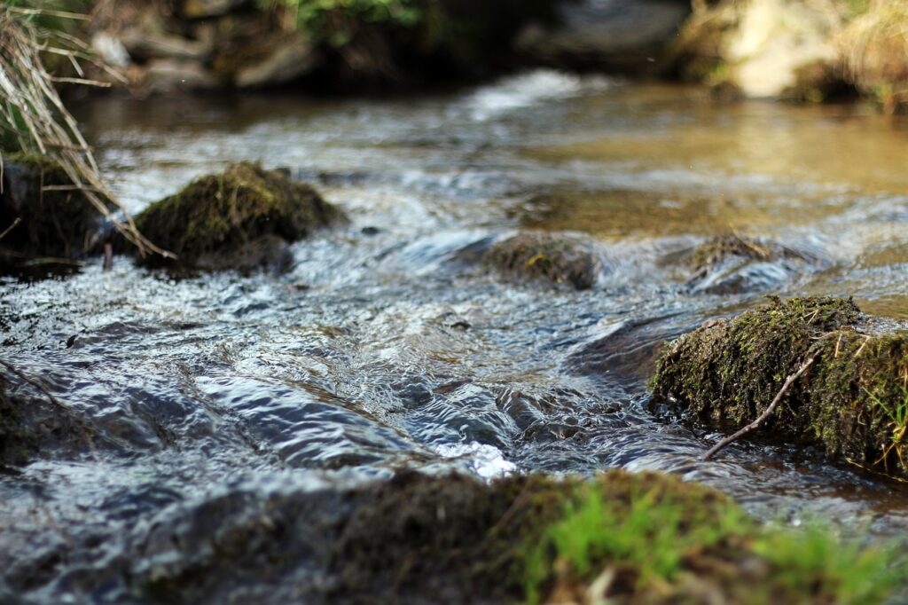 Water